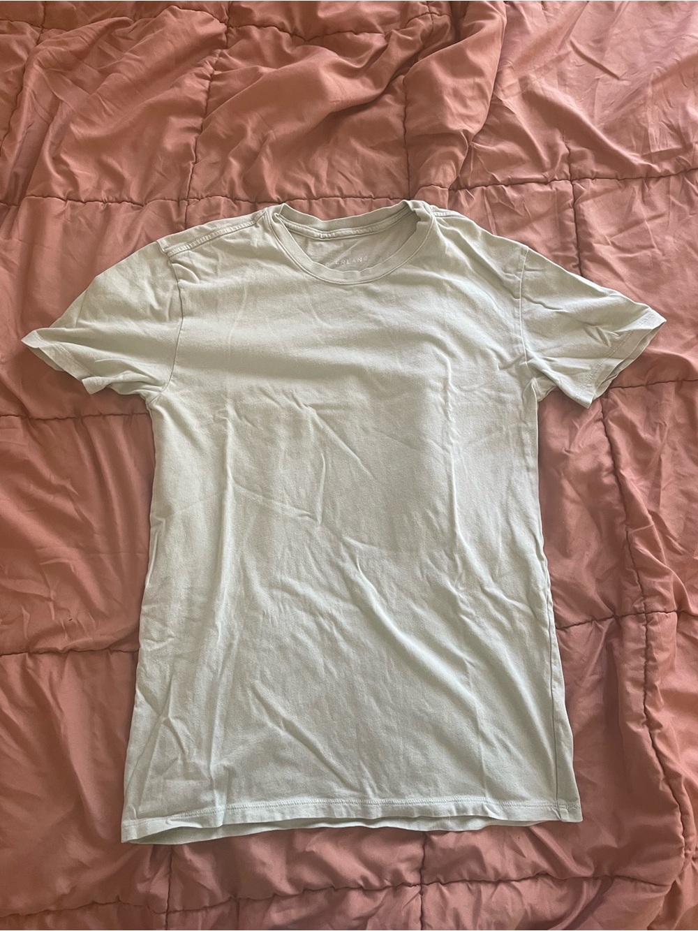 Everlane Light green tee
